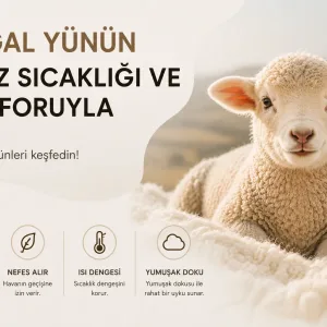 Yün Setler